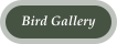 Bird Gallery