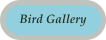 Bird Gallery