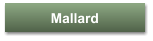 Mallard